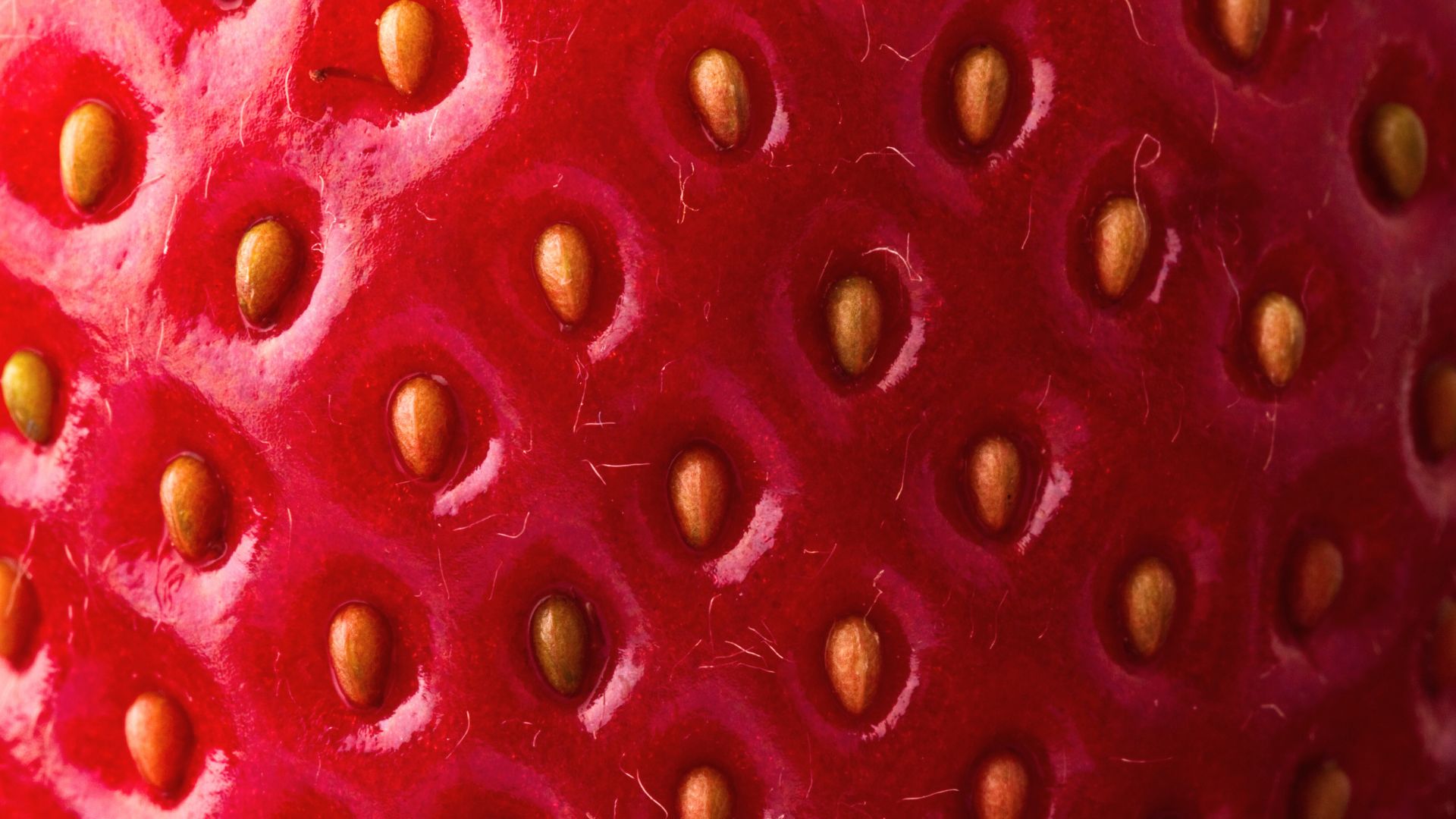 Kératose pilaire ou peau de fraise : comment s'en débarrasser ? - CLEM