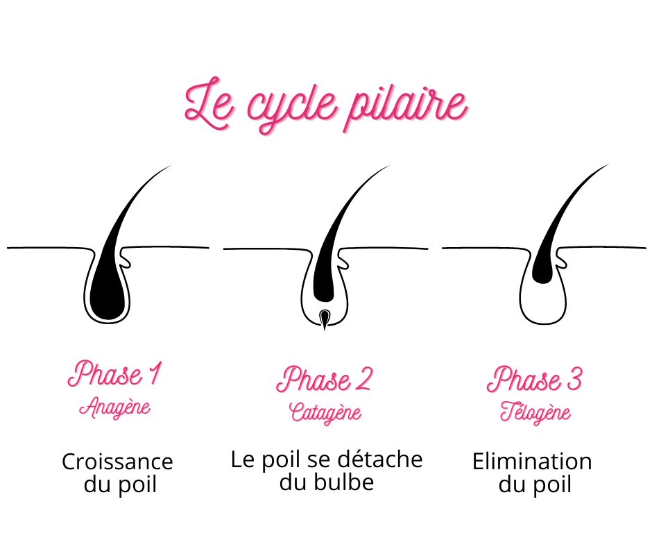 Épilation laser ou lumière pulsée : qui est le plus efficace ? - CLEM